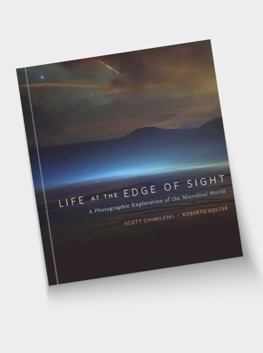 Life at the Edge of Sight: A Photographic Exploration of the Microbial World